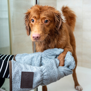 The Learning Leash